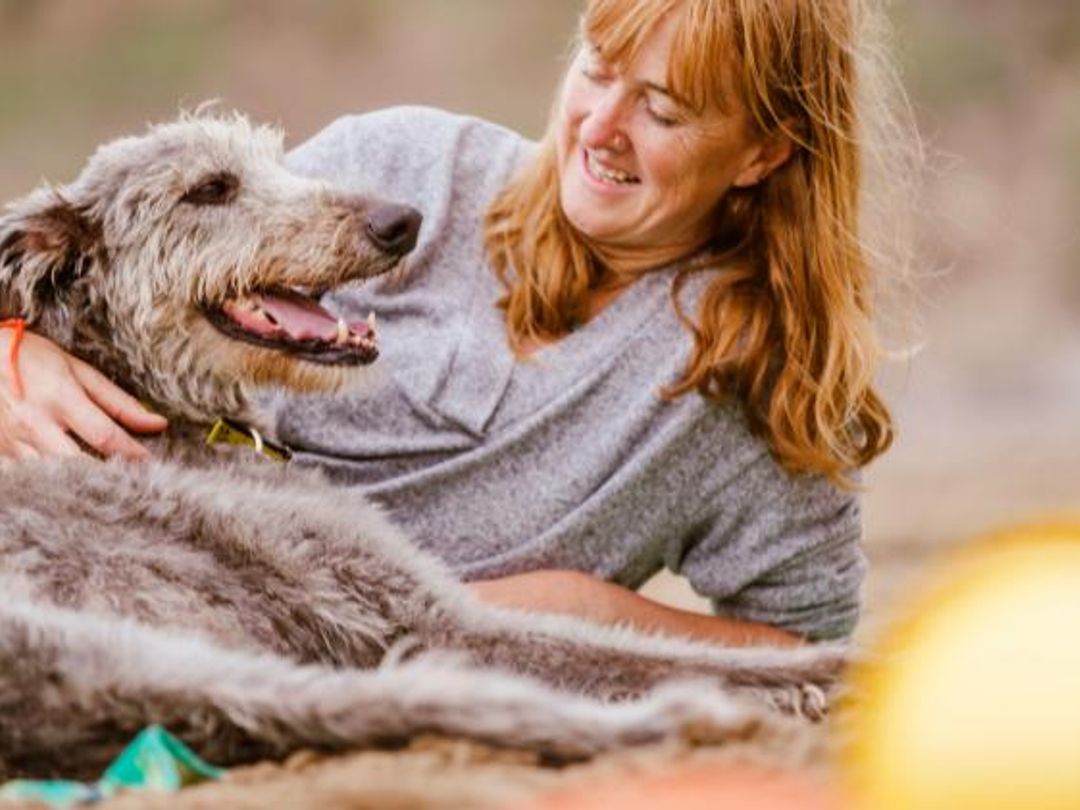 Do Dogs Trust Humans