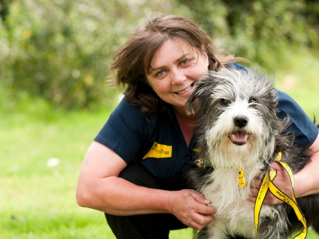 What Dogs Trust Do