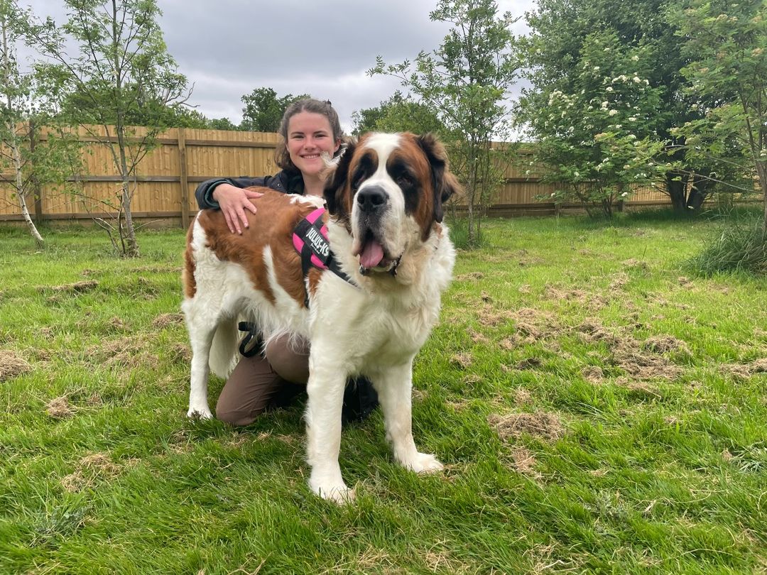 Bella with canine carer Claudia at west london harefield 