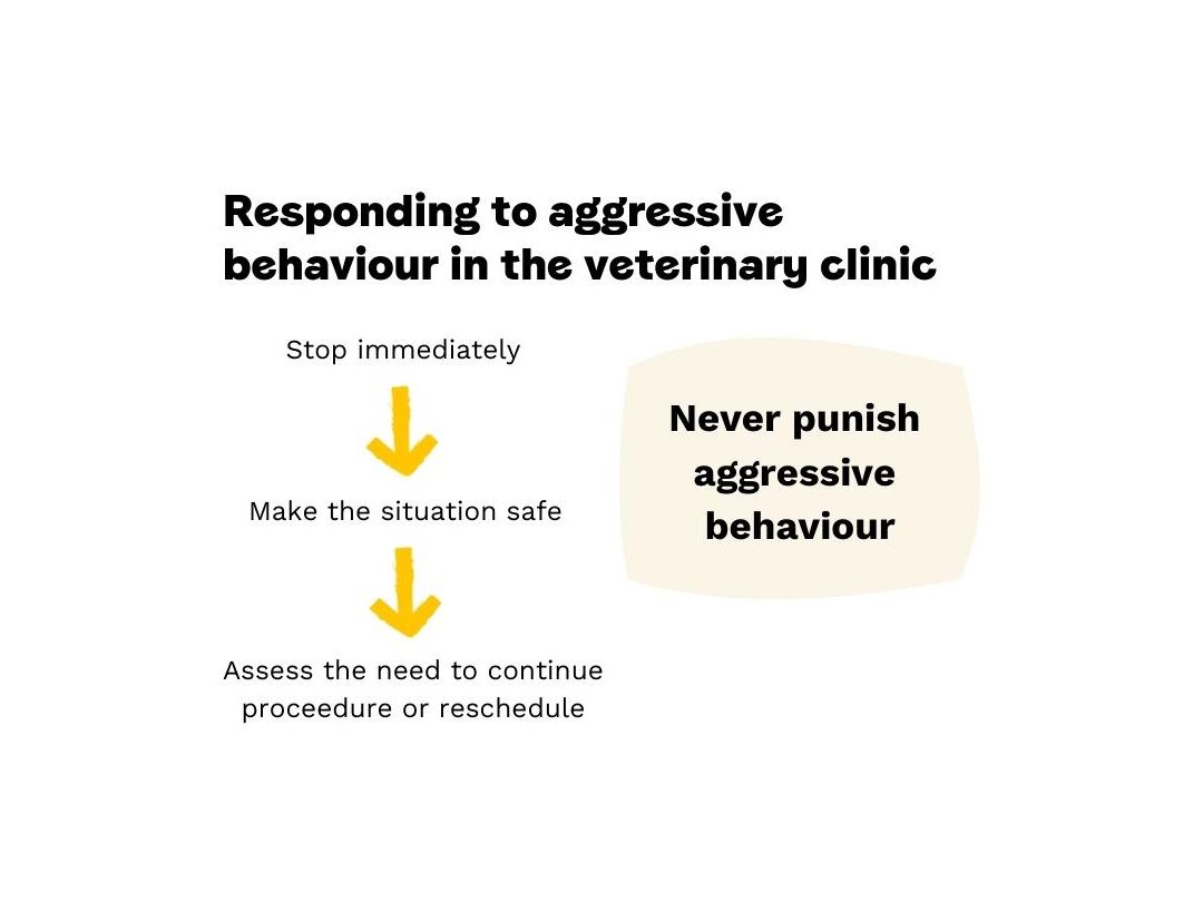 Infographic advising how to respond to aggression in dogs