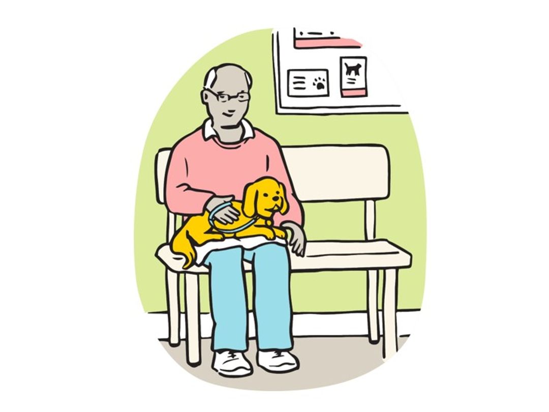 Illustration of dog sitting on owners lap in vet waiting room.