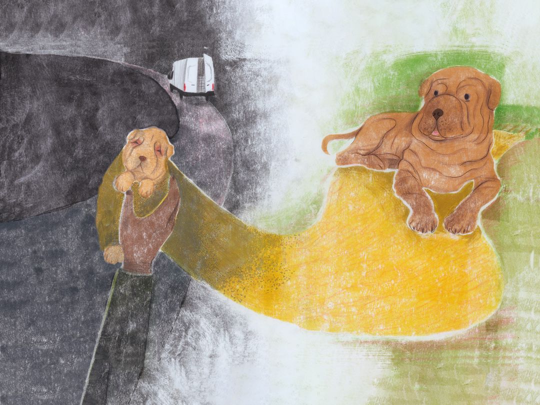 Illustrated scene showing Sean the Shar Pei's journey from smuggled puppy to adult