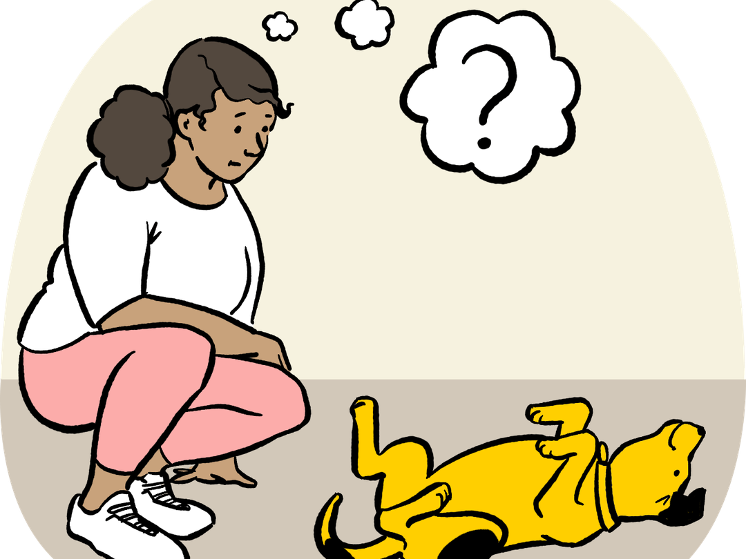 Illustration of owner trying to read dog body language