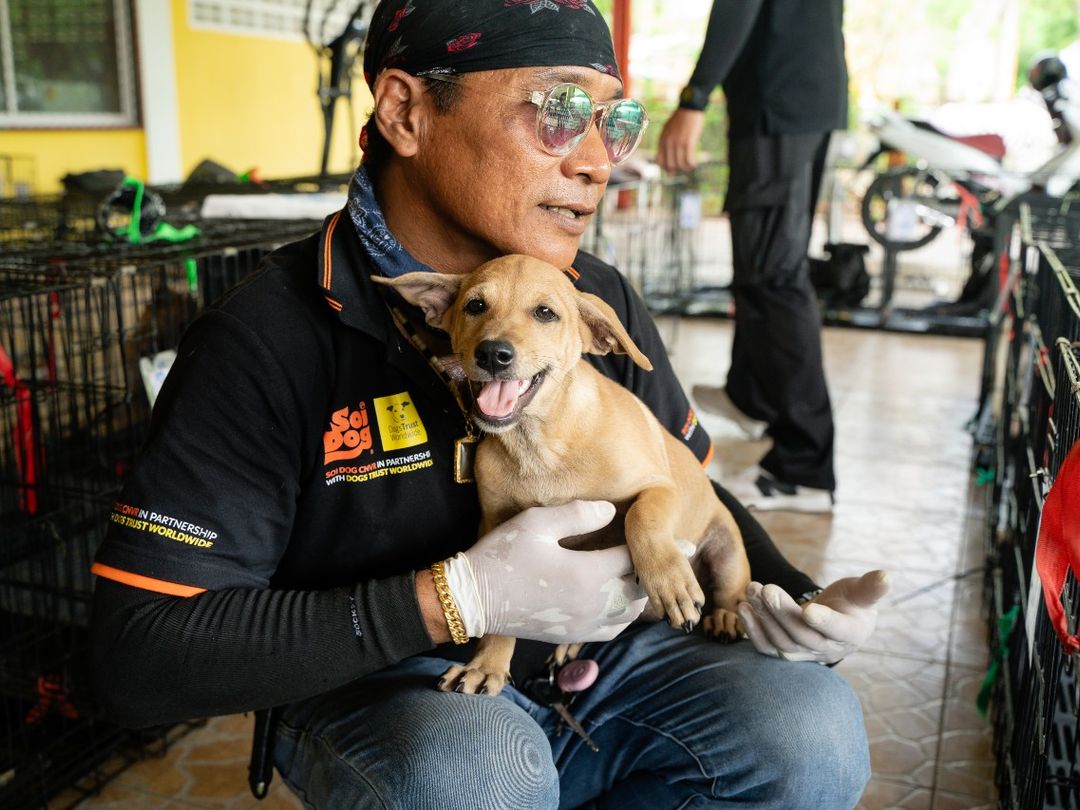 Male vet holding a tan puppy in his lap whilst the puppy looks at the camera with it's mouth open, smiling.