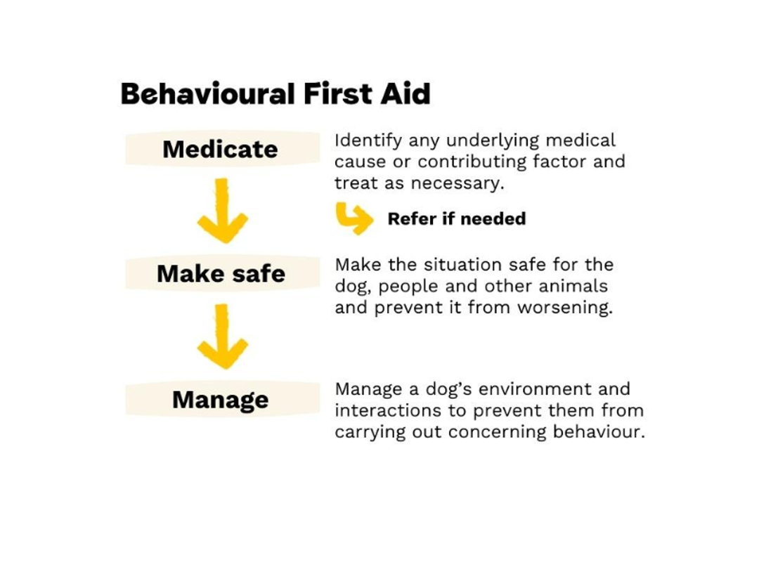 Graphic showing the key steps in behavioural first aid which includes medication, making the dogs situation safe and helping to manage their environment and behaviour.