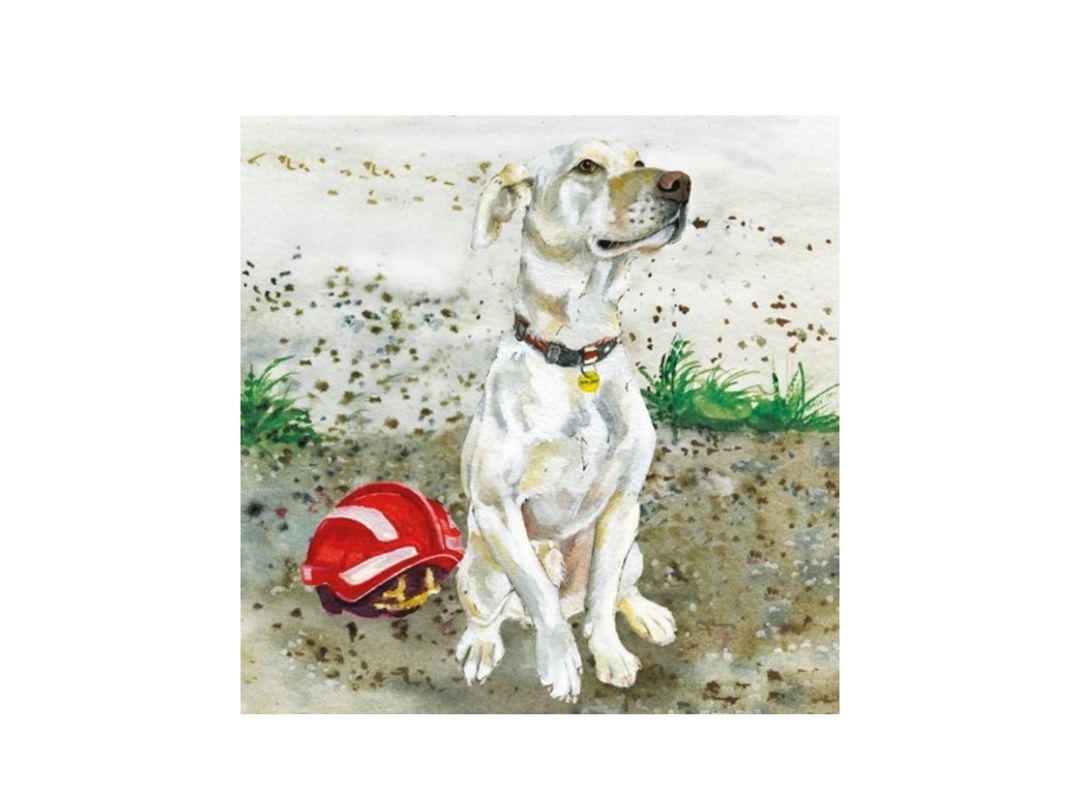 An illustration of Bailey the crossbreed by The Little Dog Laughed.