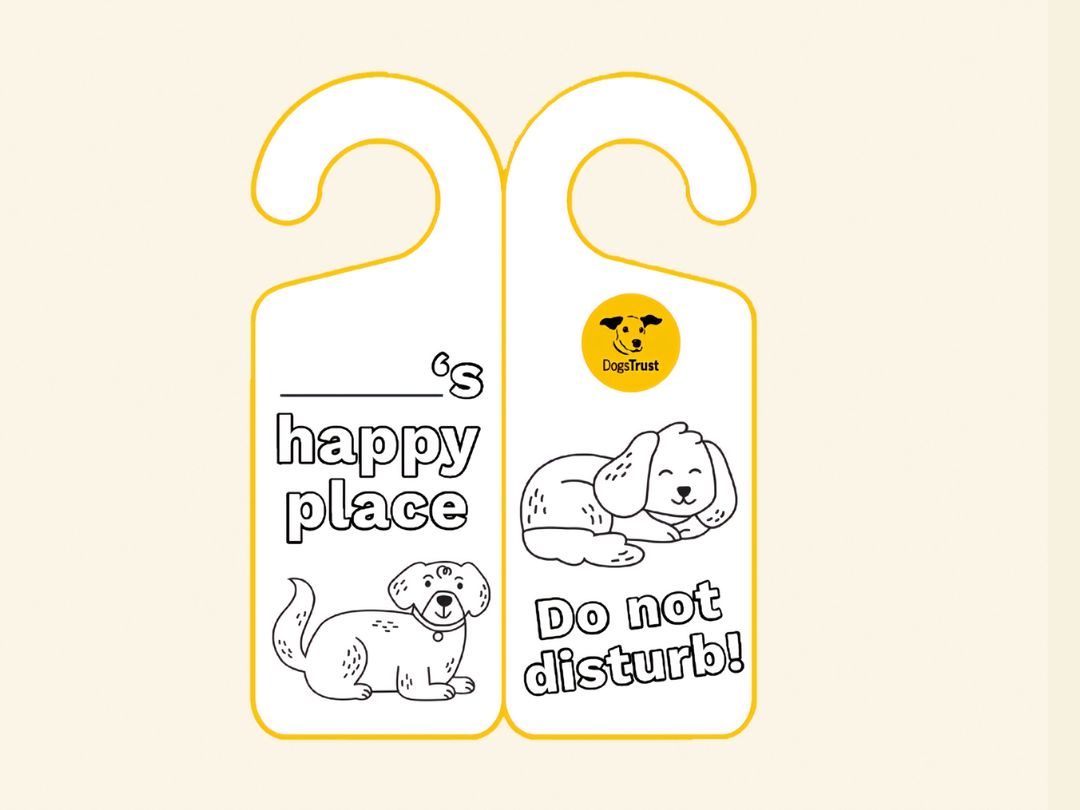 Dogs Trust door hangers
