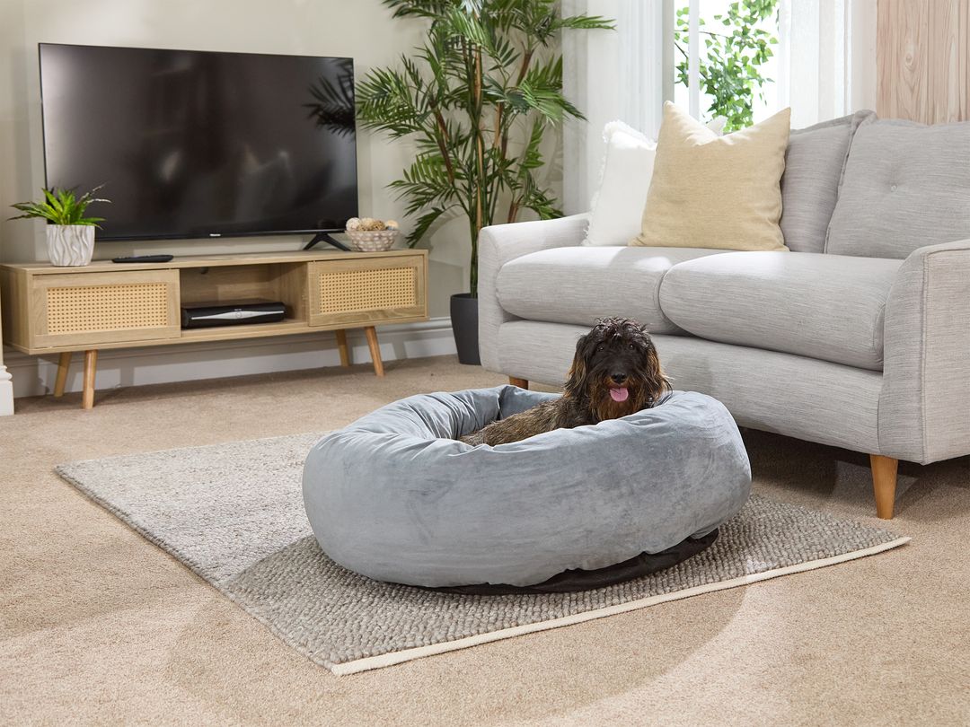 A dachshund enjoying a dog bed from Slumberdown's Paws for Slumber range.