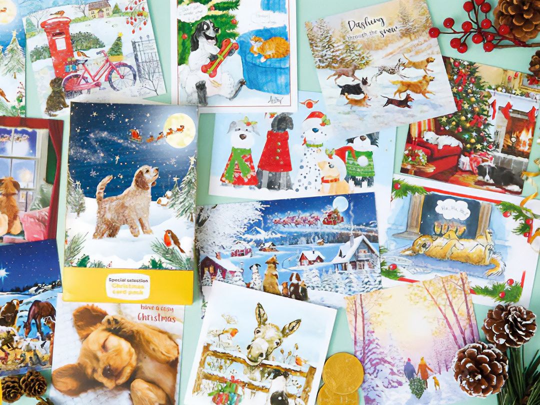 Special selection of Dogs Trust Christmas cards