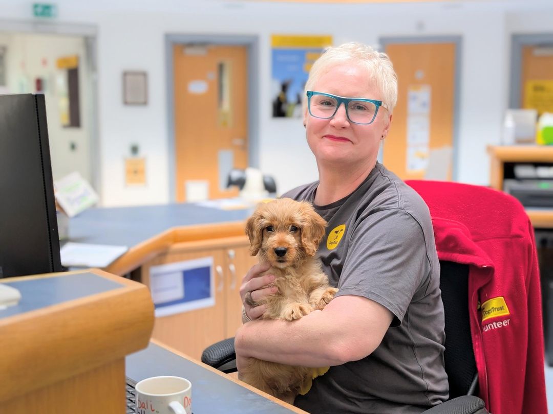 Alison a volunteer sitting at a reception desk holding a puppy