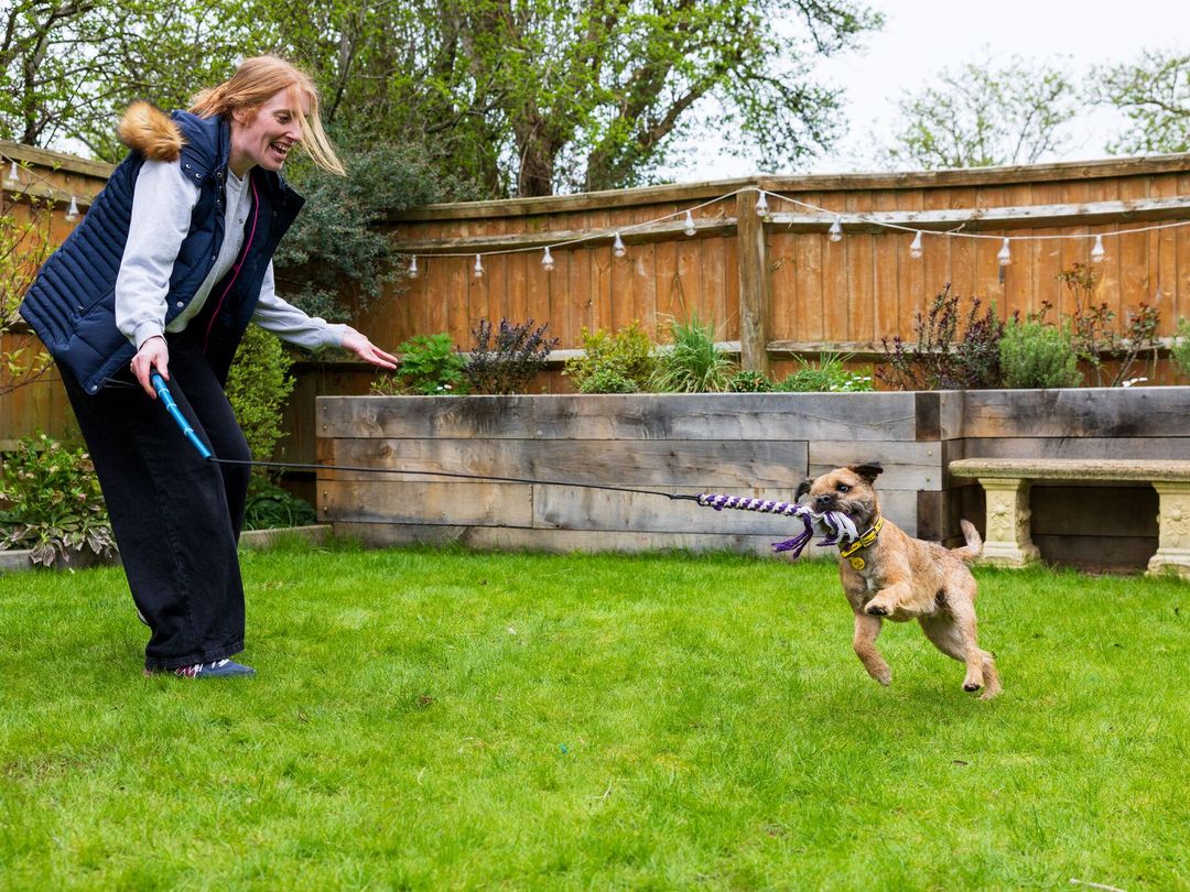 a lady playing tug-of-war in the garden with a border terrier