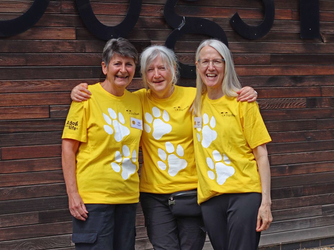 three older ladies hugging and smiling wearing yellow t-shirts with white paws