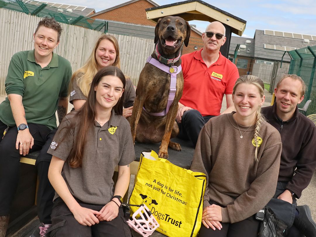 The team at Dogs Trust Leeds wish Zena all the best in her forever home