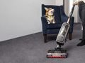 How to introduce a vacuum cleaner to your dog
