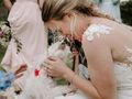 How to plan a dog-friendly wedding