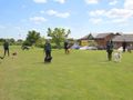   Volunteer Gardener and Grounds Assistant 