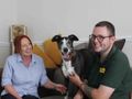 “My house is now a home again”, after adopting rescue dog Badger 
