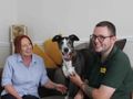 “My house is now a home again”, after adopting rescue dog Badger 