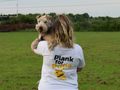Plank for Pups challenge
