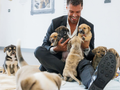 Meet our puppies!