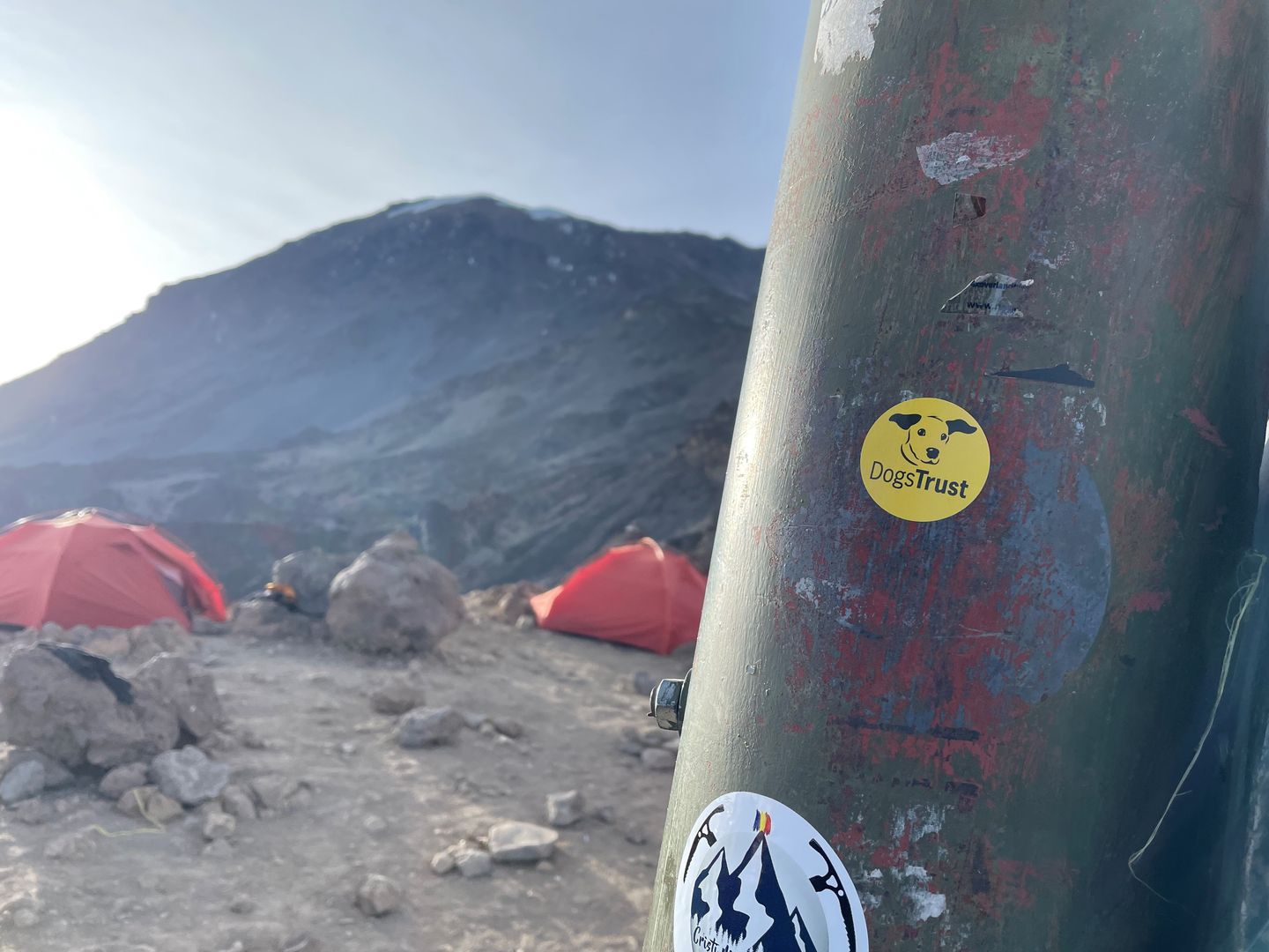 As is the custom, Simon left a Dogs Trust sticker at the summit of Mount Kilimanjaro.