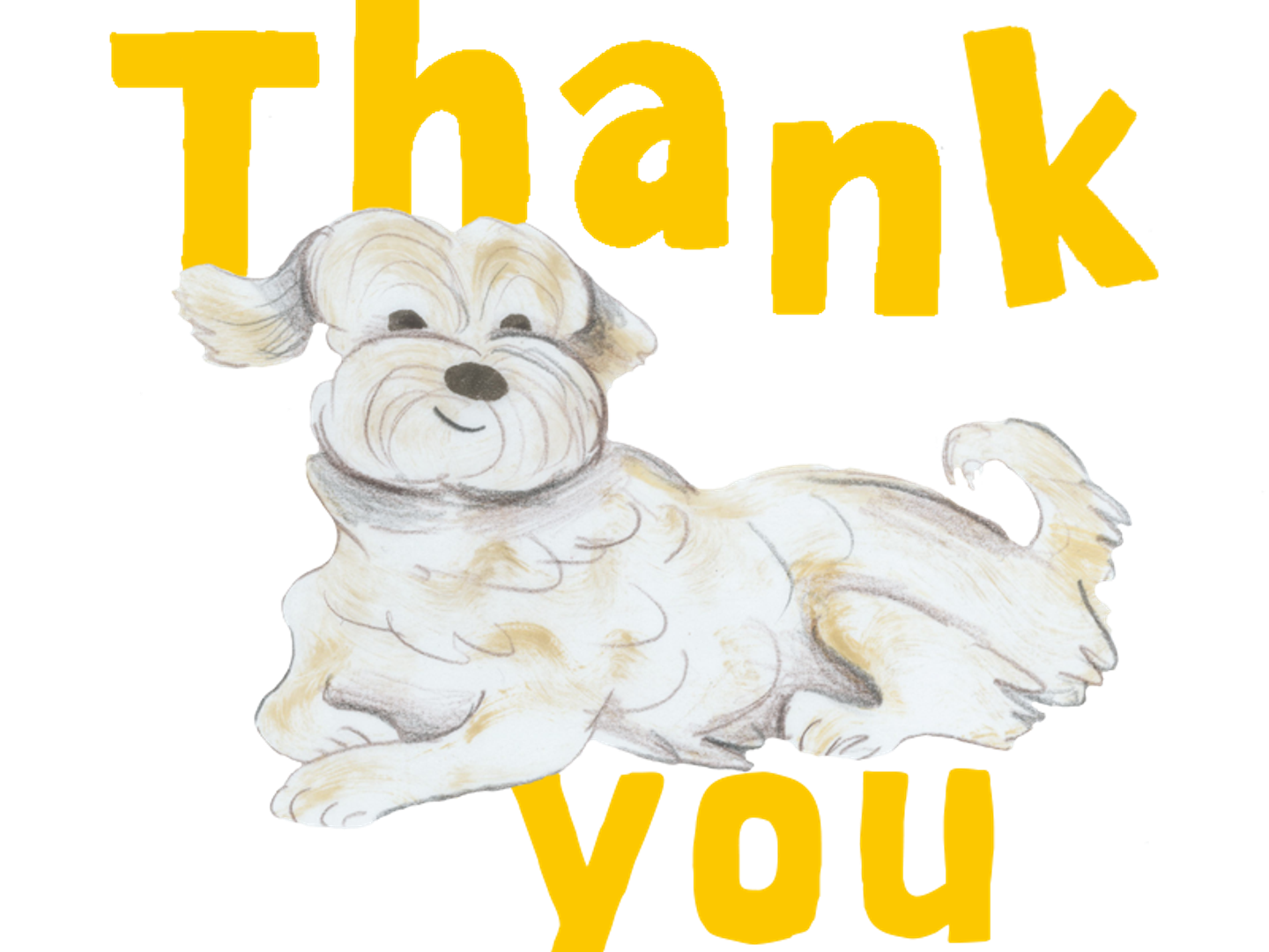 Illustration of Snowy the Bichon Frise saying thank you