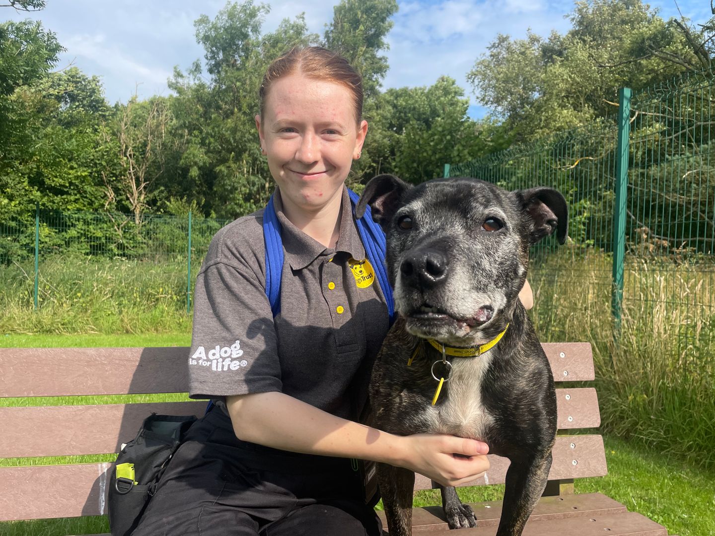 Harry, a rescued abandoned dog, cuddles up to a Dogs Trust canine carer.