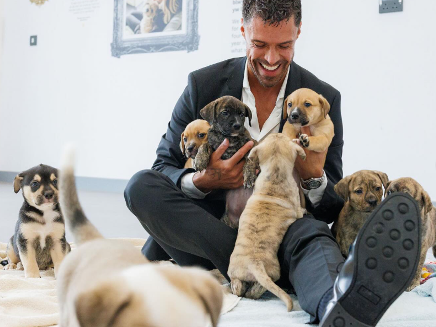 actor Olly Rix sat on the floor smiling with a whole litter of puppies running around him