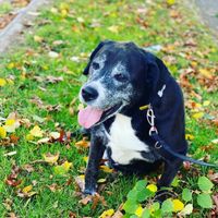 In memory of Oscar