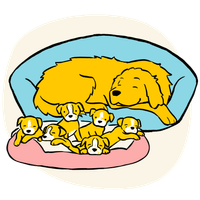 Illustration of a yellow Golden Retriever dog mother lying in bed with her litter of puppies