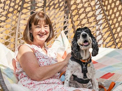 Is fostering a dog right for you?