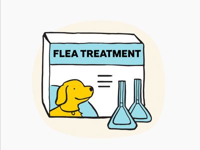Illustration of flea treatment for dogs