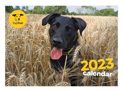 Dogs Trust 2023 calendar
