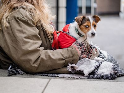 Dog and owner experiencing homelessness