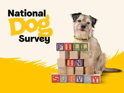 National Dog Survey
