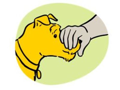 Illustration of hand cupping down on dogs snout.