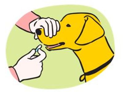 Owner holding dogs snout whilst giving pill with other hand