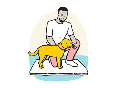 Illustration of owner giving dog treat on mat.