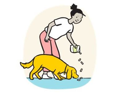 woman scattering treats on floor for dog