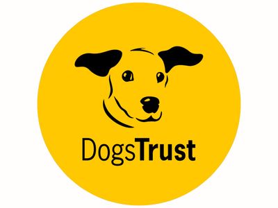 Dogs trust success store stories