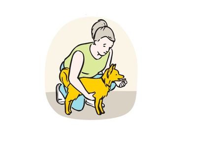 Illustration of a woman kneeling down placing hands under and holding chest of small dog.