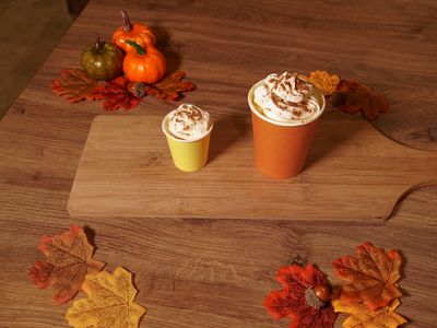 Pumpkin spice pup-cup recipe