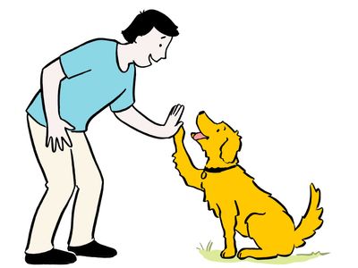 Illustration of a yellow Golden Retriever dog giving a high five (paw) to a man. 
