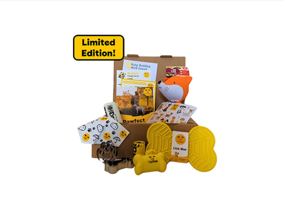 Online Shop For Dogs Dog Lovers Dogs Trust