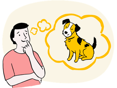 National Dog Survey 2024