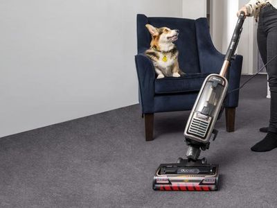 How to introduce a vacuum cleaner to your dog