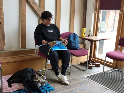 Impact of the veterinary environment on behaviour