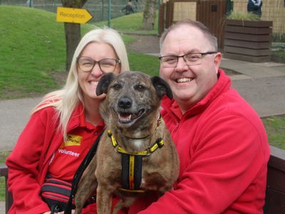 Volunteers’ Week: Merseyside couple celebrate 20 years of helping dogs