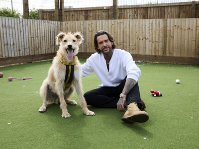 Everything you need to know about our 'dog-umentary' with Pete Wicks