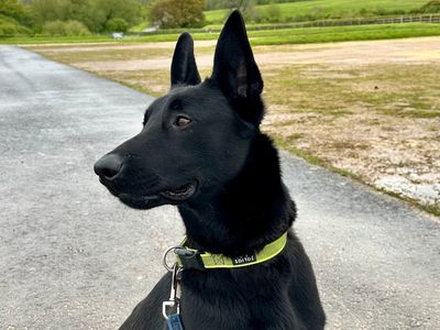 A new beginning for Gemma and Ghost